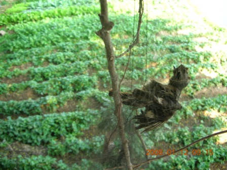 DSCN0912.JPG