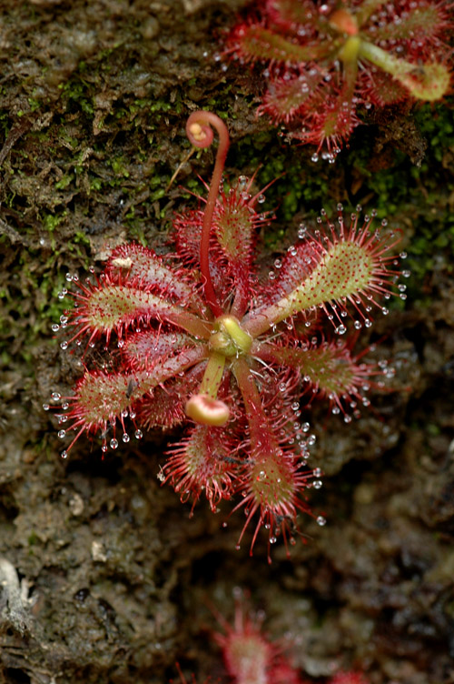 2���ؽ���