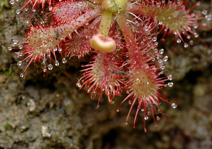 2����ʳ��ϵĵؽ���