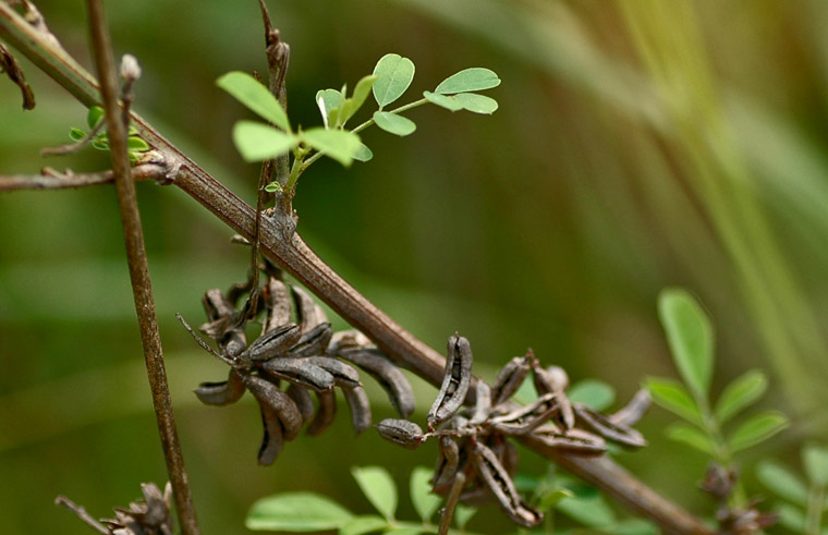 DSC_0704���µĶԱ�