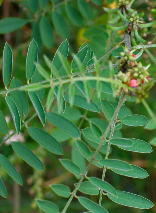   HBG����9��8��