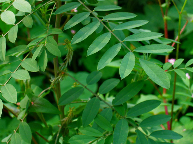   HBG����8��27��