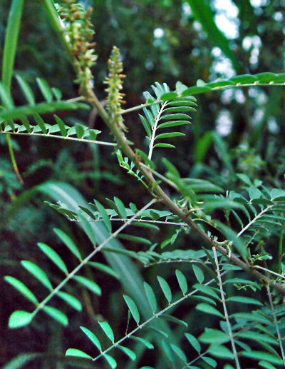 �� 9��8��