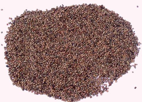 �������ص���������