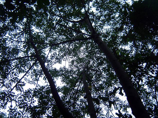 2���Ѿ��������ˣ�������Ȼ��Ũ���ĲԴ䡣