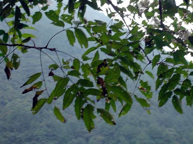 3���������룬���Զ��������ζ����