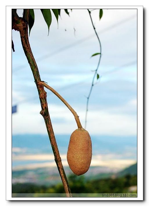 1��8�µ��ĵ���ľͨ��ʵ