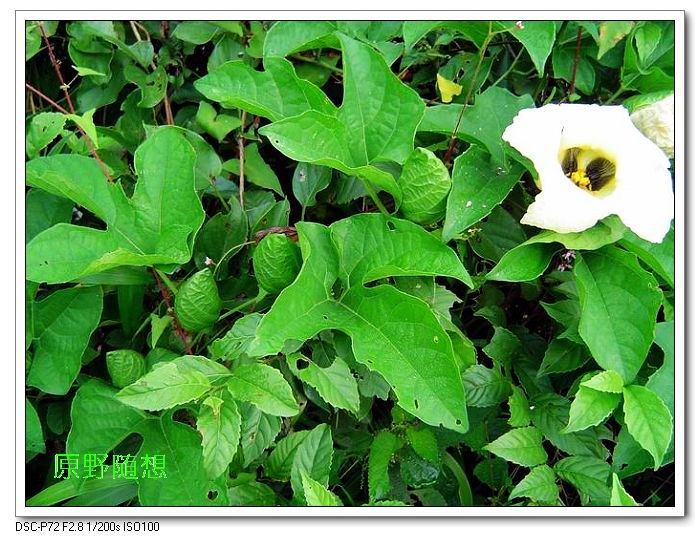 ���� DSC02628.JPG