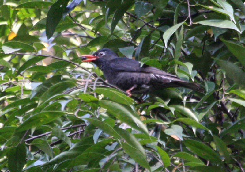 IMG_8804.jpg