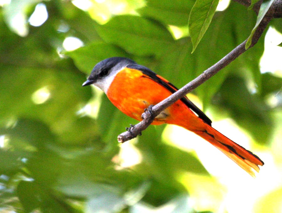 IMG_8715.jpg