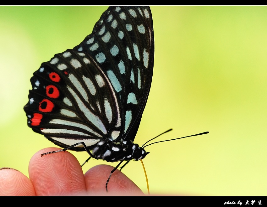 �Ժ���Ҳ����Ȥ