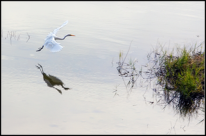 ���������Ƭ