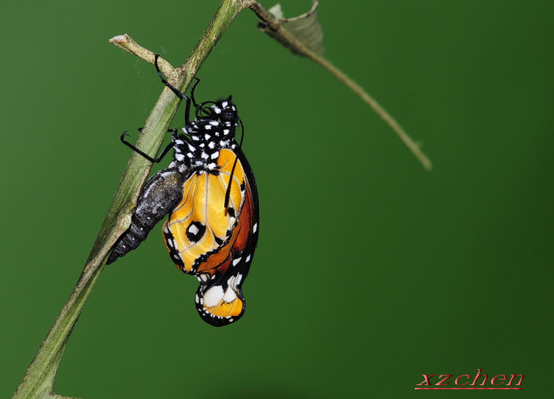 ������Ͱ͵�