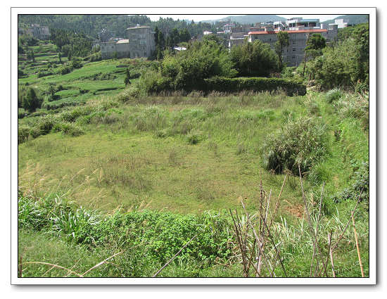 ��������֮һ