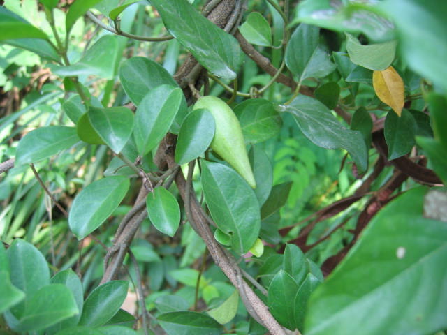 �׸���2 .jpg