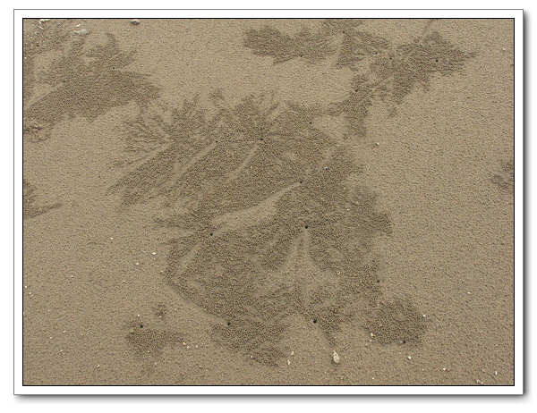 ������ͼ��