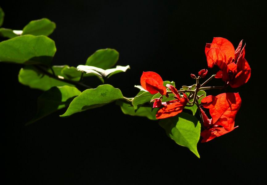 ������С dd119 078.jpg