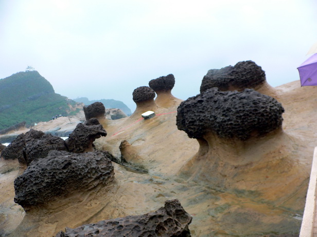 ��ʴ����