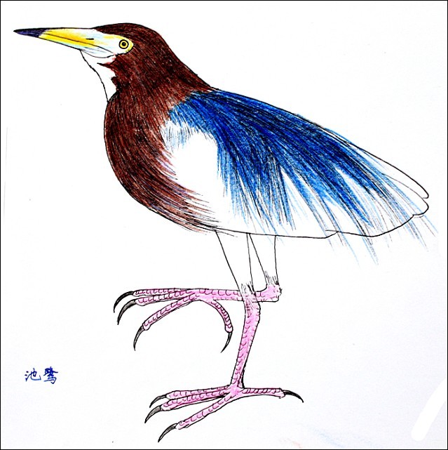 ���� ��ֳ��