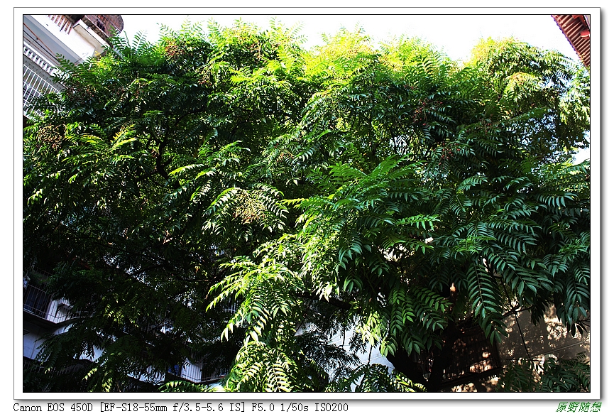 120818��̩ 105.jpg