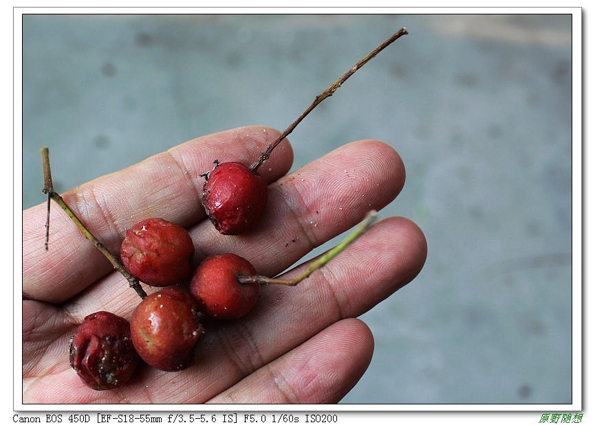 120818��̩ 117.jpg