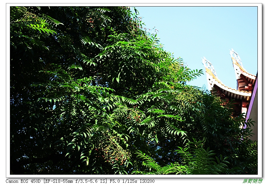 120818��̩ 118.jpg