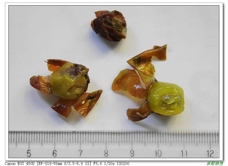 120818��̩ 214.jpg