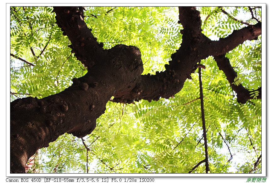 120818��̩ 107.jpg