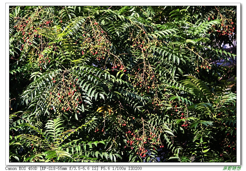 120818��̩ 131G.jpg