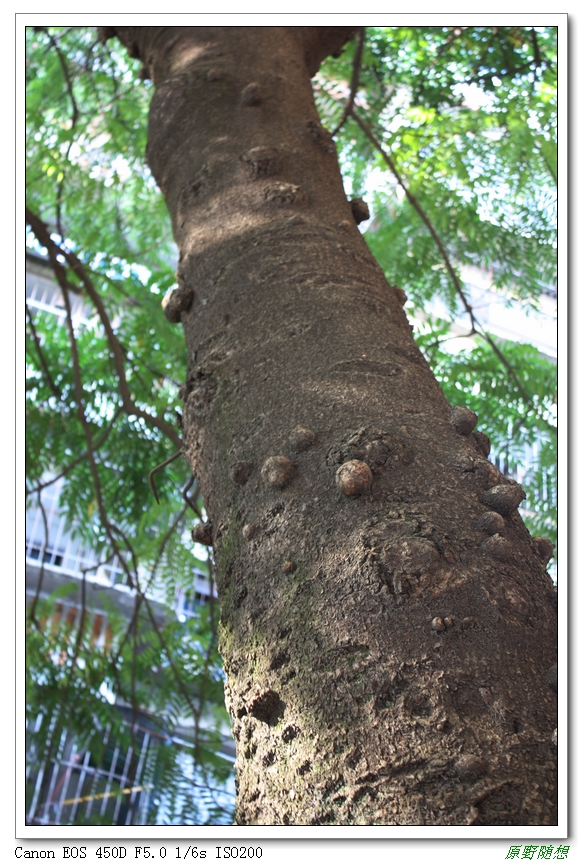 120818��̩ 125.jpg