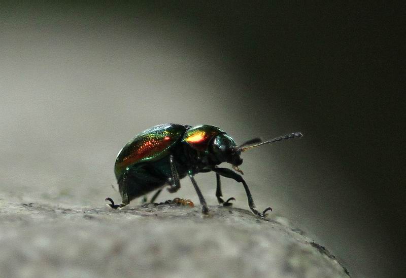 ���� IMG_9382.jpg