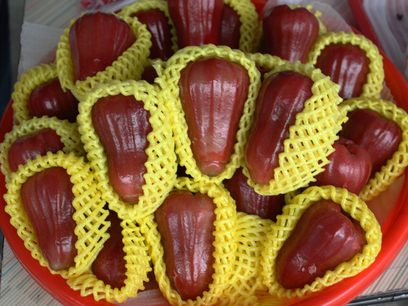 Syzygium samarangense_������ԭҰ����.jpg