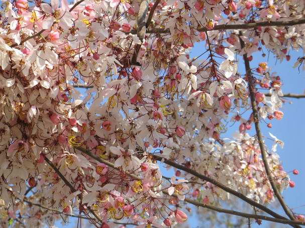 171�ۻ������� 388.jpg