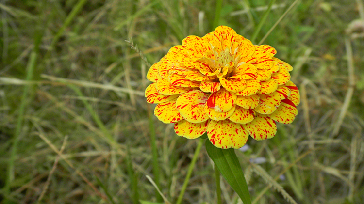 �ǰ��վ���