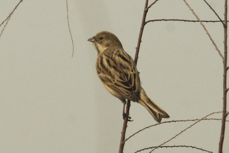 05«�c900.jpg